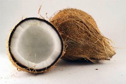 कैसे हुआ नारियल का जन्म?