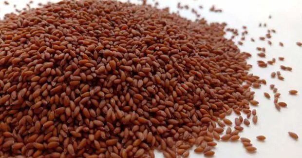 चंद्रशूर के ज़बरदस्त फायदे-