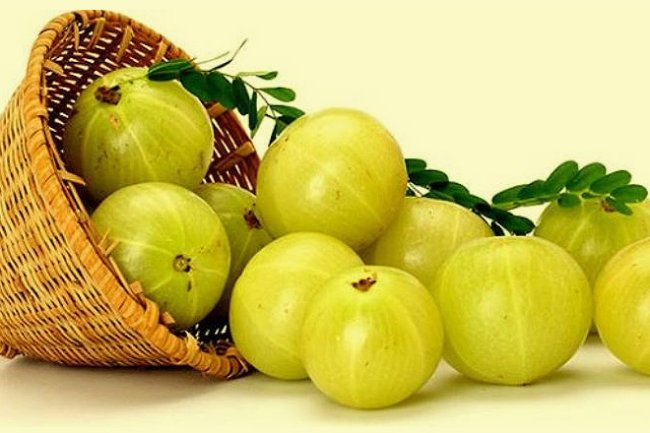 ठंड में सर्दी-खांसी, वायरल से बचना है तो रोज खाएं एक आंवला