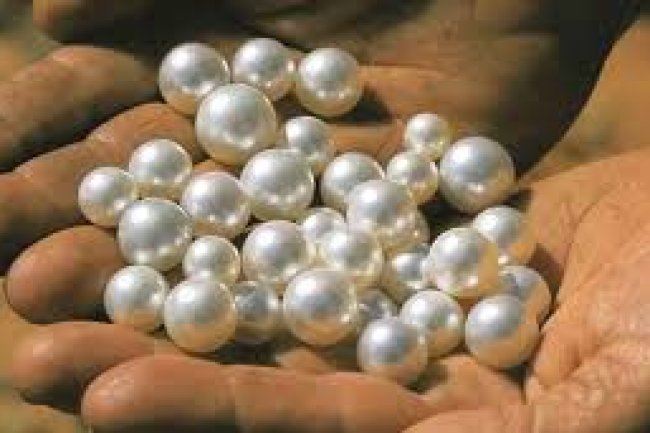 जानिए चंद्र रत्न के बारे में