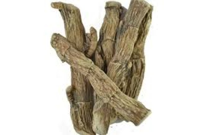 वेखंड का सेवन करने के फायदे क्या है