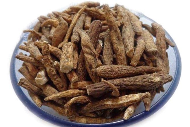 अतीस: अनेक रोगों का प्रभावी उपचार