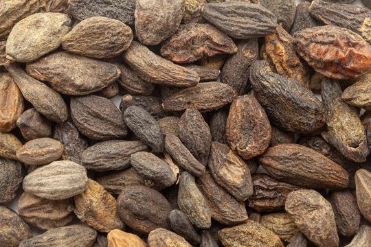 छोटी हरड़ के यह 10 फायदे हैं कमाल के