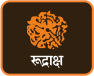 रुद्राक्ष